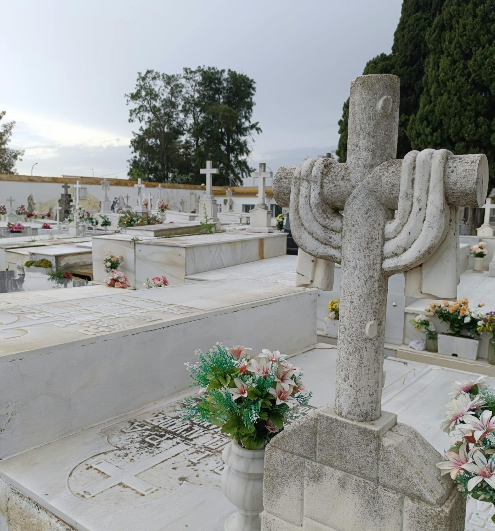 pexels-antonio-garcia-prats-1579305-29204832